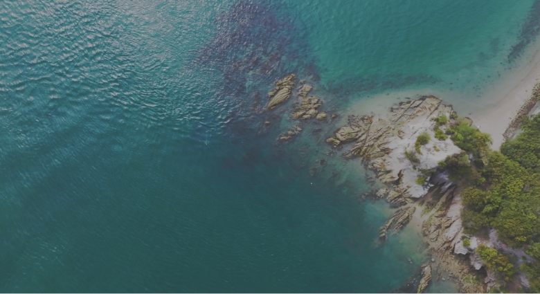 Seasid Interriors 海辺で暮らす　海辺の風景新品、 ACCESS | SEEN